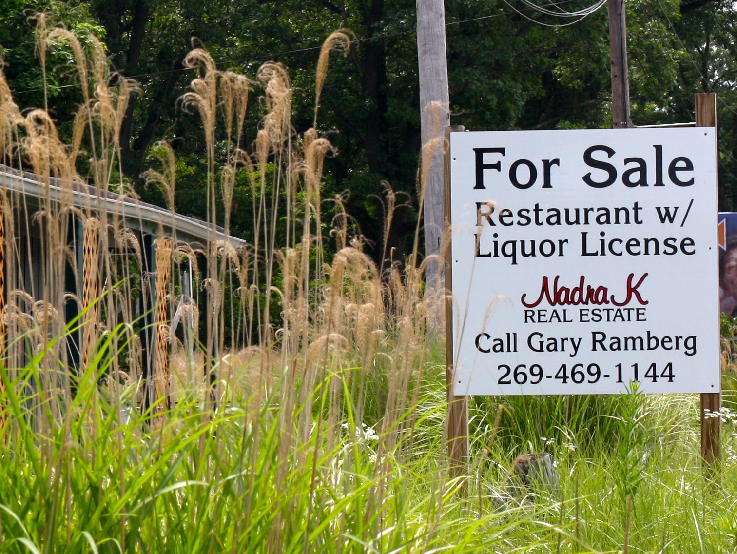 For Sale Sign in Grass
